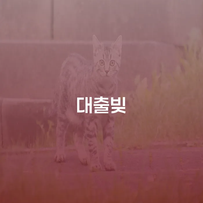 채권채무조회서 연체 채무 신속해결방법 검토를 한 다음에는