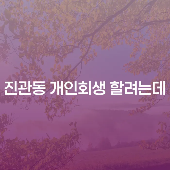 진관동 개인회생 할려는데