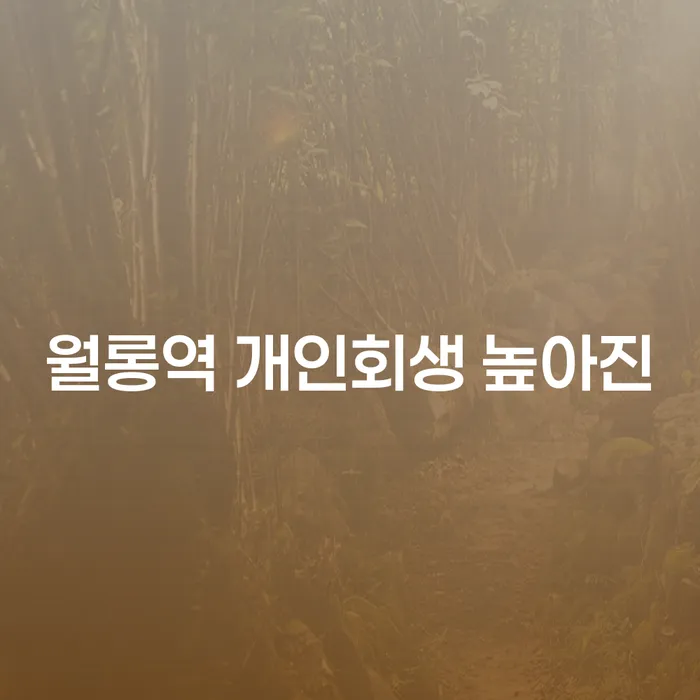월롱역 개인회생 높아진