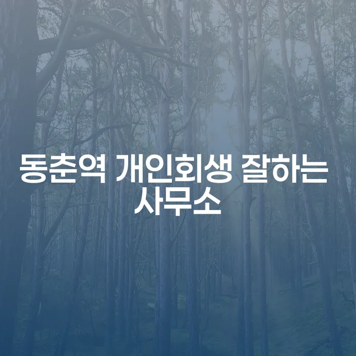 동춘역 개인회생 잘하는 사무소