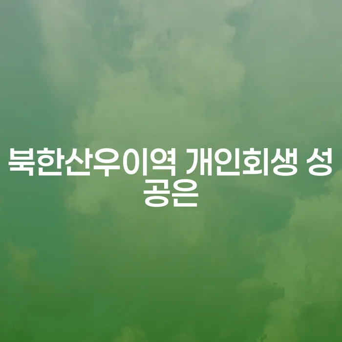 북한산우이역 개인회생 성공은