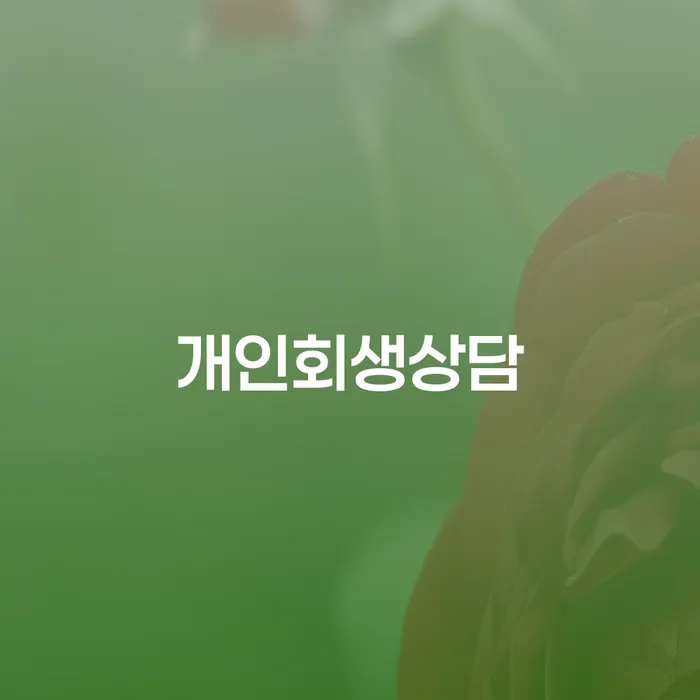 대치동 개인회생상담으로 채무 문제 해결하기