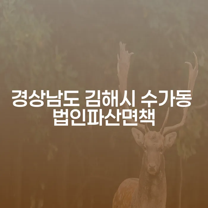 경상남도 김해시 수가동 법인파산면책, 당신의 해결책은 무엇인가요?