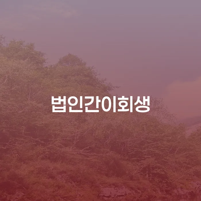 법인간이회생과 개인회생, 당신에게 맞는 해결책은 무엇일까요?