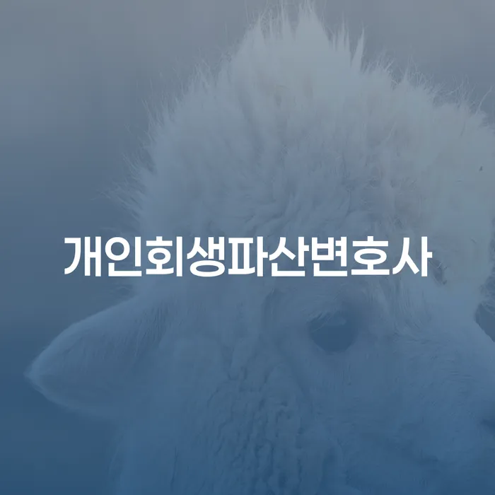 개인회생과 파산, 그리고 카드사용: 어떻게 해결할 수 있을까?